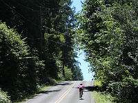 IMG 3267