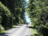 IMG 3273