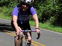 IMG 3293