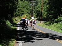 IMG 3295