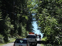 IMG 3300