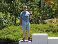 IMG 3181