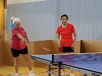 TableTennis.2016.3